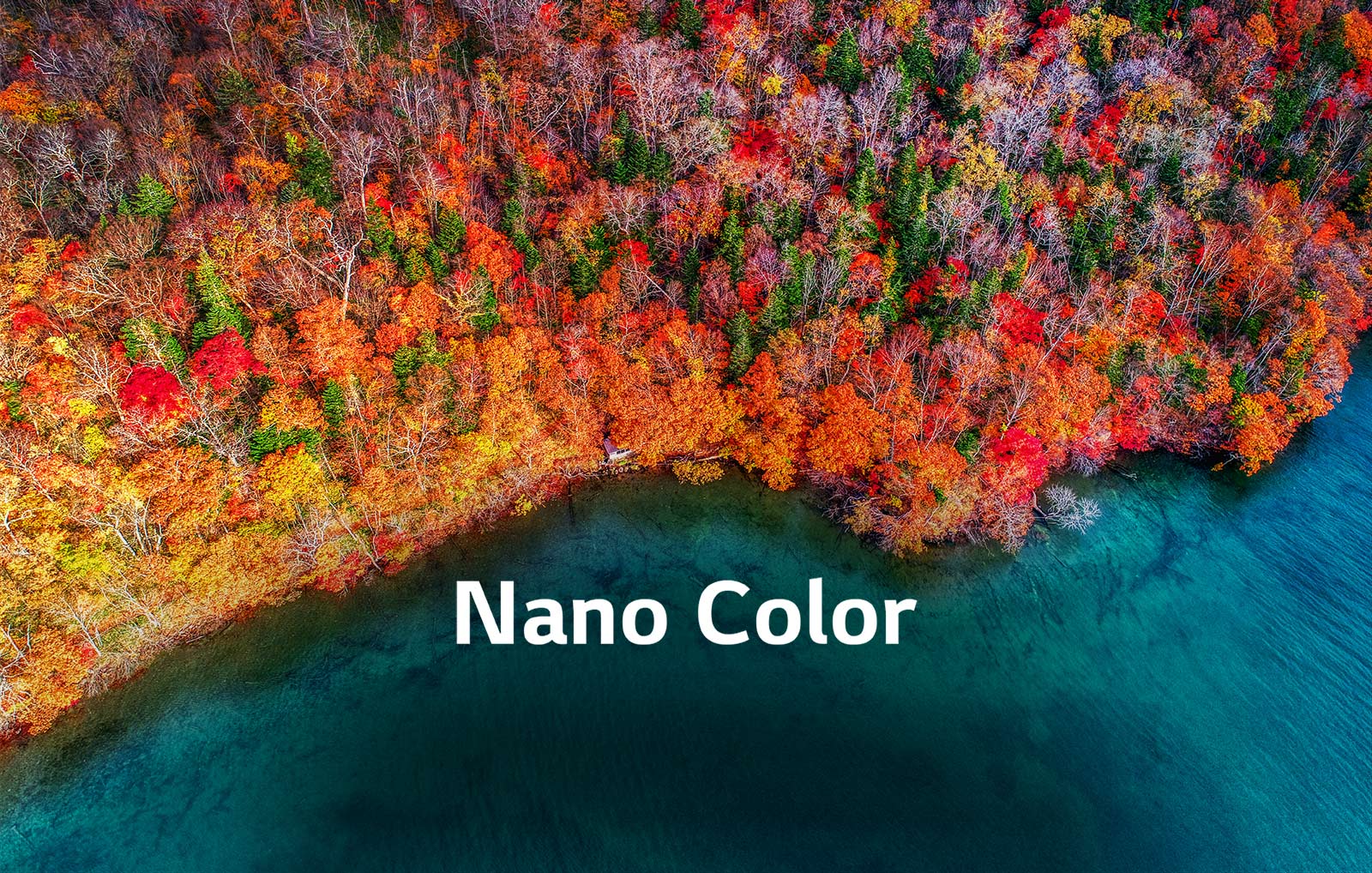 فناوری Nano color تلویزیون 49SM8100